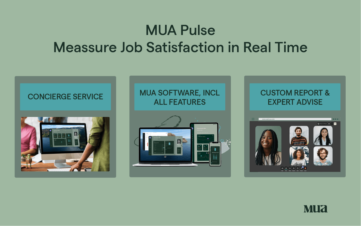 Image-MUA-Pulse-Sage